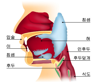 의약품 이미지